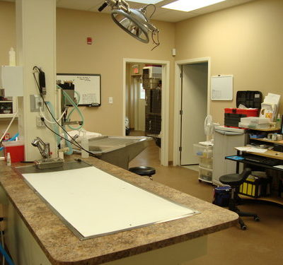 Treatment Room - Nanton Alberta